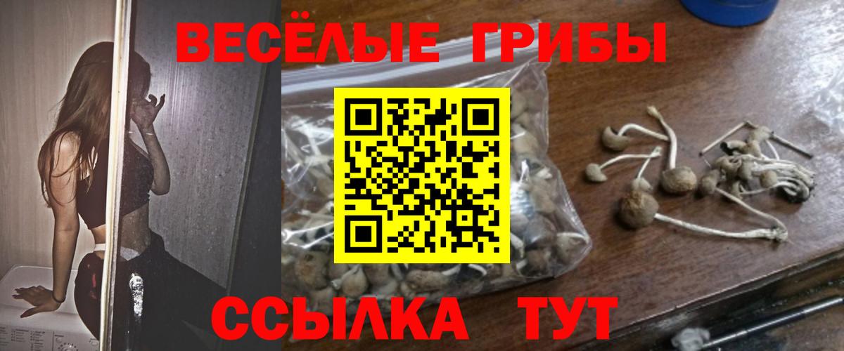 Псилоцибиновые грибы Magic Shrooms Кувандык